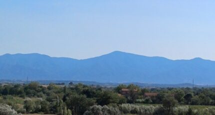 Perpignan Terrain à bâtir - 2098163-4671annonce120250306PHuGH.jpeg Maisons Balency
