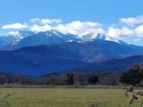 Terrain à bâtir à Villelongue-dels-Monts (66740) 2102995-4671annonce120250311wquFu.jpeg Maisons Balency