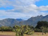 Maison à construire à Villelongue-dels-Monts (66740) 2103063-4671annonce120250311iBJlL.jpeg Maisons Balency