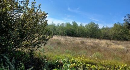 Palau-del-Vidre Maison neuve - 2104480-4671annonce120250313GirU0.jpeg Maisons Balency