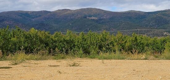 Terrain à bâtir à Los Masos, Occitanie