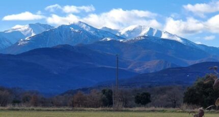 Laroque-des-Albères Terrain à bâtir - 2139390-4671annonce120250424qZ3nK.jpeg Maisons Balency