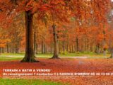 Maison à construire à Vayres-sur-Essonne (91820) 2127622-10545annonce120250408NgS3d.jpeg Maisons Balency