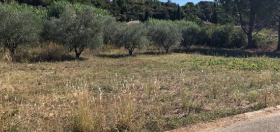 Terrain à bâtir à Loupian, Occitanie