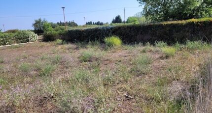 Millas Terrain à bâtir - 2163561-4671annonce120250520yeK7v.jpeg Maisons Balency