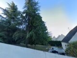 Maison à construire à Saintry-sur-Seine (91250) 2116075-10545annonce120250324r6aRW.jpeg Maisons Balency