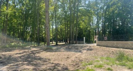 Milly-la-Forêt Terrain à bâtir - 2118705-10545annonce4202503260i8oV.jpeg Maisons Balency