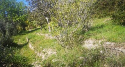 Saint-André-de-la-Roche Terrain à bâtir - 2122667-3059annonce4202504011Zp48.jpeg Maisons Balency
