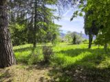 Terrain à bâtir à Tourrette-Levens (06690) 2141531-3059annonce4202504258KcZA.jpeg Maisons Balency