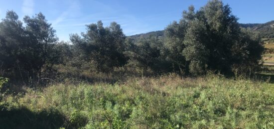 Terrain à bâtir à Claret, Occitanie