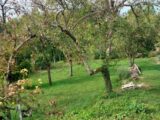 Maison à construire à La Grande-Paroisse (77130) 2146210-10545annonce120250501TT64V.jpeg Maisons Balency