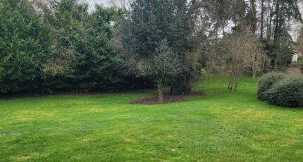 Mennecy Terrain à bâtir - 2122673-10545annonce120250401dRwQV.jpeg Maisons Balency