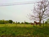 Maison à construire à Château-Landon (77570) 2144461-10545annonce120250429TTpAJ.jpeg Maisons Balency
