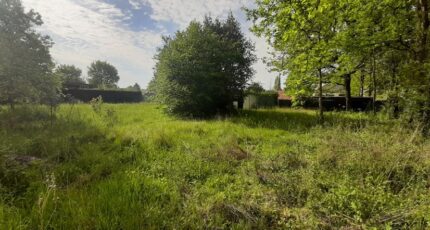 Pontault-Combault Maison neuve - 2179351-5508annonce120250604o36Jt.jpeg Maisons Balency