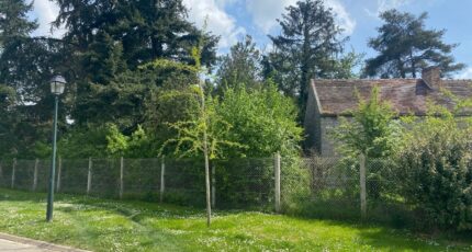 Champcueil Maison neuve - 2151831-10545annonce220250507zoAzB.jpeg Maisons Balency