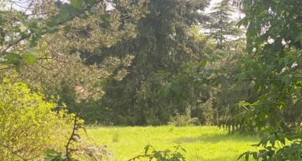 Champcueil Maison neuve - 2151831-10545annonce320250507KJeJN.jpeg Maisons Balency