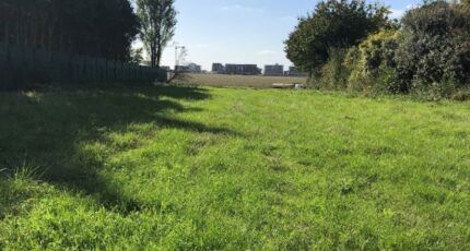 Grisy-Suisnes Maison neuve - 2184684-5508annonce120250609v3dgP.jpeg Maisons Balency