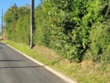 Maison à construire à Barbizon (77630) 2135535-4684annonce120250417MK35J.jpeg Maisons Balency