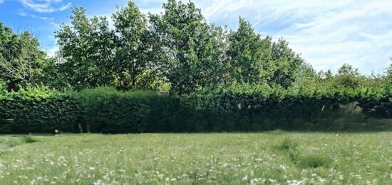 Terrain à bâtir à Saint-Augustin, Île-de-France