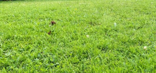 Terrain à bâtir à Ailly, Normandie