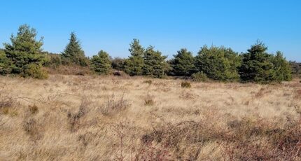 Marquixanes Terrain à bâtir - 2277077-4671annonce120250919zvvTz.jpeg Maisons Balency