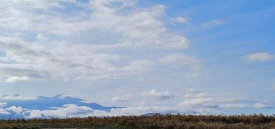 Terrain à bâtir à Pollestres, Occitanie