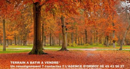 Boussy-Saint-Antoine Maison neuve - 2290279-10545annonce120251001RfcX6.jpeg Maisons Balency