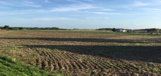 Terrain à bâtir à , Essonne