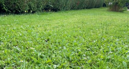 Amfreville-sur-Iton Maison neuve - 2296490-10332annonce1202510072bEBw.jpeg Maisons Balency