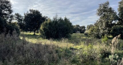 Saint-Siffret Maison neuve - 2305548-4620annonce120251015dMo0N.jpeg Maisons Balency