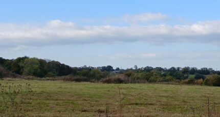 Manerbe Maison neuve - 2308411-11563annonce120251016t2iLc.jpeg Maisons Balency