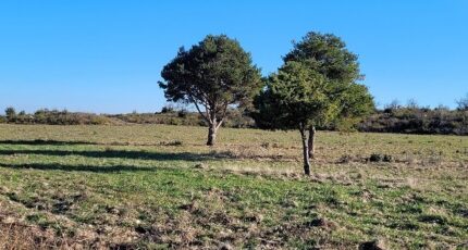 Pézilla-la-Rivière Maison neuve - 2310661-4671annonce1202510206U4wd.jpeg Maisons Balency