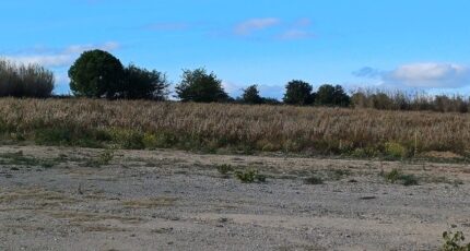 Cases-de-Pène Maison neuve - 2311119-4671annonce120251020hcWNg.jpeg Maisons Balency