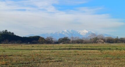 Villeneuve-de-la-Raho Terrain à bâtir - 2311144-4671annonce120251020Gy6bC.jpeg Maisons Balency