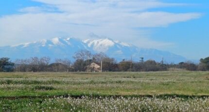 Villeneuve-de-la-Raho Maison neuve - 2311513-4671annonce120251020aBTMm.jpeg Maisons Balency