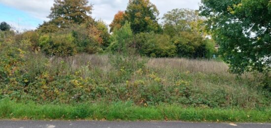 Terrain à bâtir à Égreville, Île-de-France