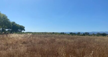 Olonzac Maison neuve - 2247988-11507annonce320250821B5gFW.jpeg Maisons Balency