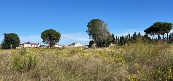 Terrain à bâtir à Latour-Bas-Elne, Occitanie