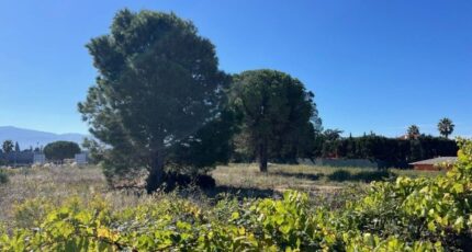 Latour-Bas-Elne Maison neuve - 2312719-4671annonce120251021ierw0.jpeg Maisons Balency