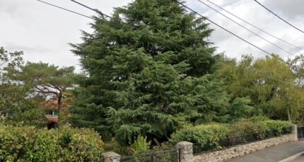 Villemoisson-sur-Orge Terrain à bâtir - 2314452-10545annonce220251022T0aqx.jpeg Maisons Balency