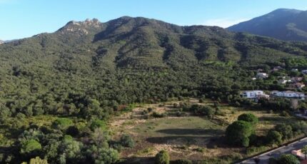 Sorède Terrain à bâtir - 2319096-4671annonce1202510275A2yV.jpeg Maisons Balency