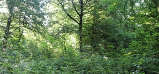 Terrain à bâtir à Aubevoye, Normandie