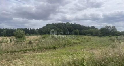 Grisy-Suisnes Maison neuve - 2332849-5365annonce220251108MB4DQ.jpeg Maisons Balency