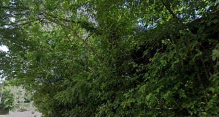 Breuillet Terrain à bâtir - 2273506-10545annonce120250520x8Z0D.jpeg Maisons Balency