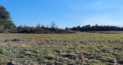 Cases-de-Pène Terrain à bâtir - 2303836-4671annonce120251013oL3eu.jpeg Maisons Balency