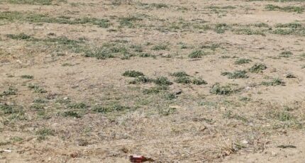 Saint-André Terrain à bâtir - 2304311-4671annonce120251013WpuJB.jpeg Maisons Balency