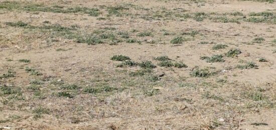 Terrain à bâtir à Saint-André, Occitanie