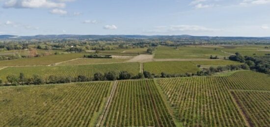 Terrain à bâtir à Ceyras, Occitanie