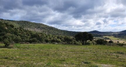 Tarerach Terrain à bâtir - 2340583-4671annonce120251117s8mQT.jpeg Maisons Balency