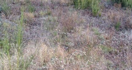 Latour-Bas-Elne Maison neuve - 2340760-4671annonce1202511178DuHh.jpeg Maisons Balency